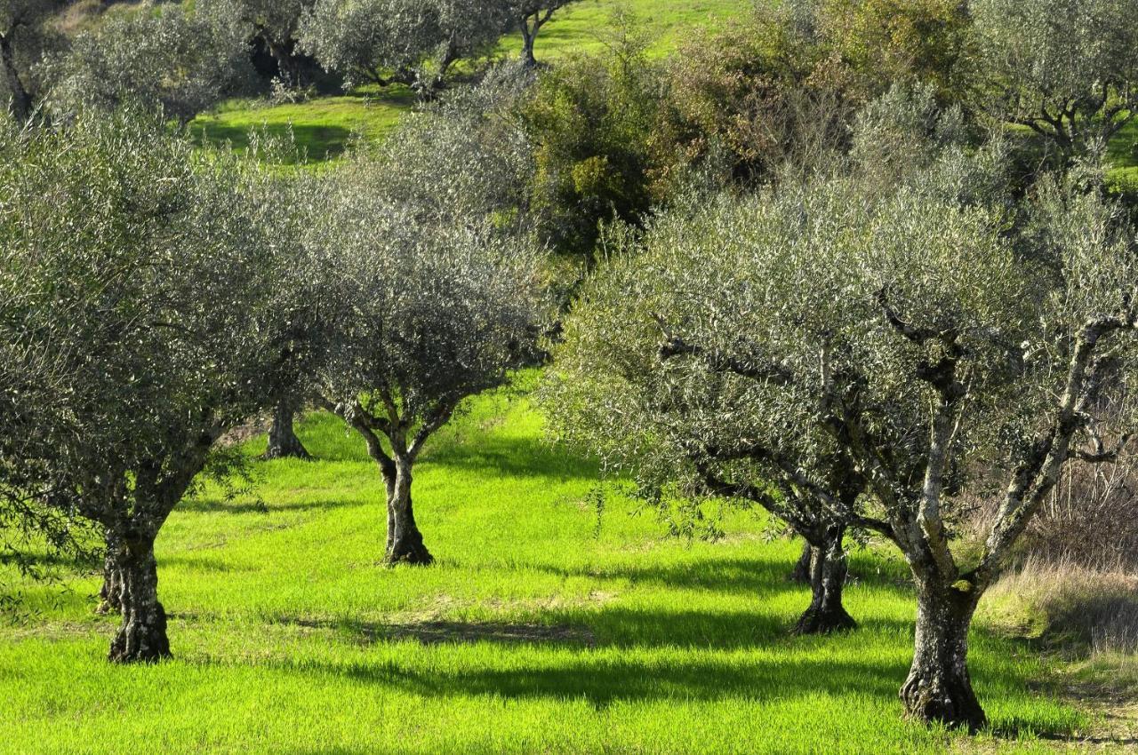 Il Podere La Casina Monsummano Terme Exteriér fotografie