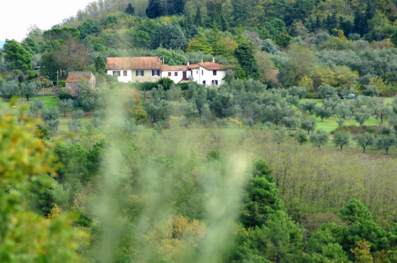 Il Podere La Casina Monsummano Terme Exteriér fotografie