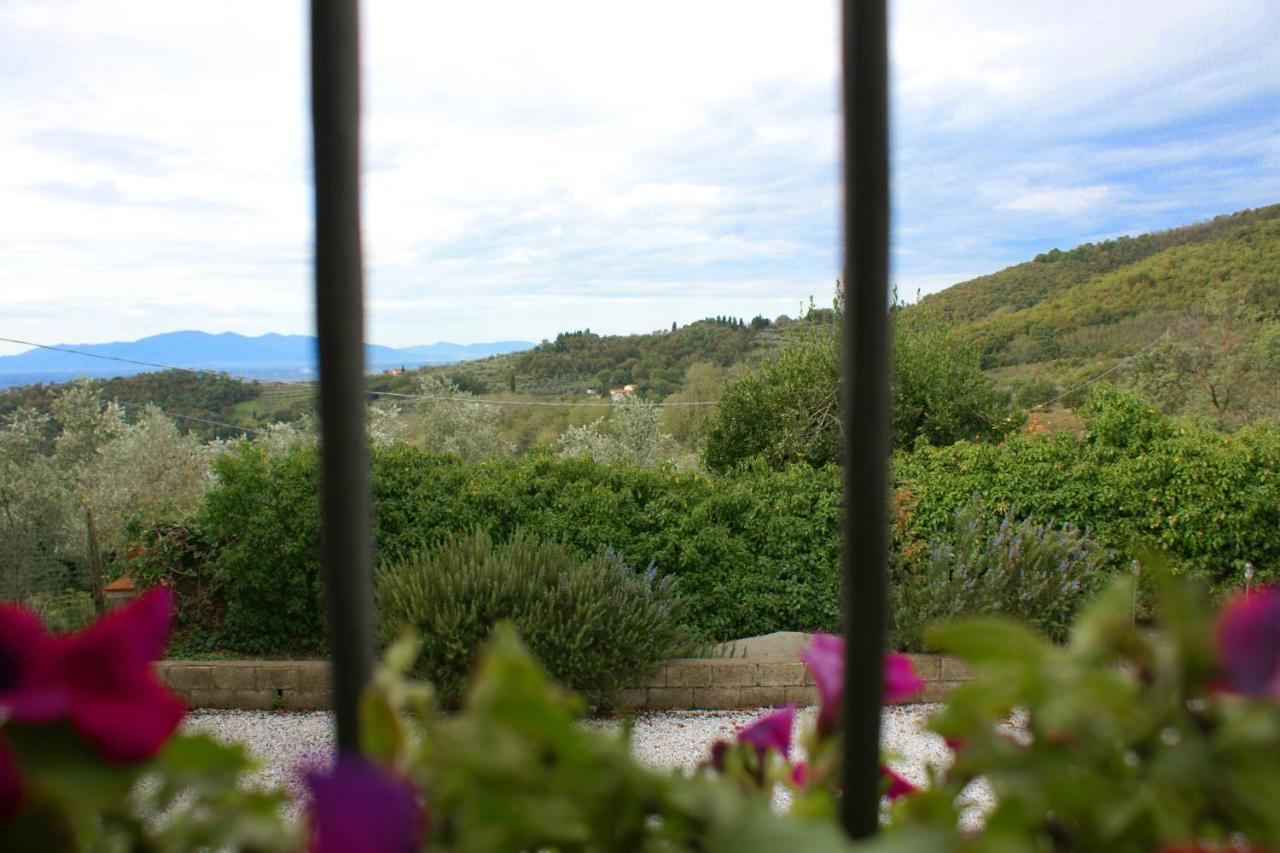 Il Podere La Casina Monsummano Terme Exteriér fotografie