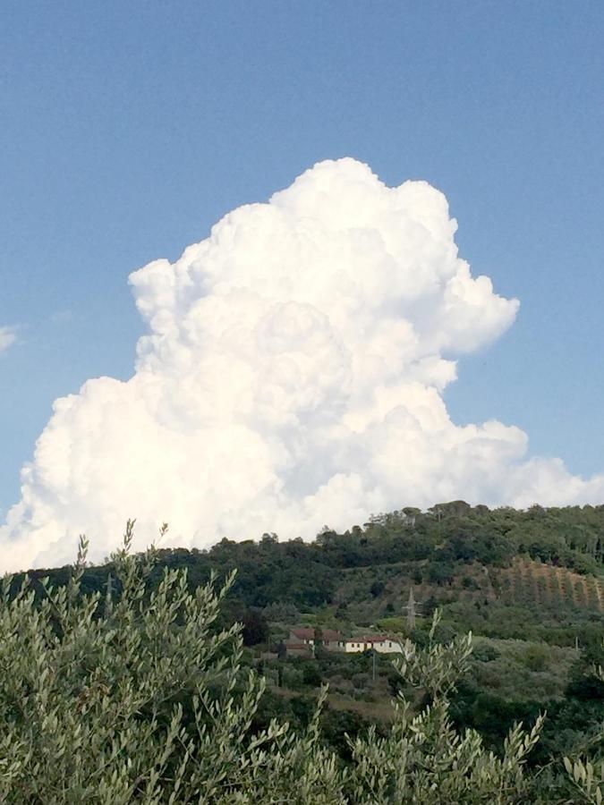 Il Podere La Casina Monsummano Terme Exteriér fotografie