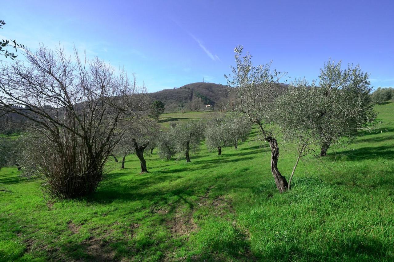 Il Podere La Casina Monsummano Terme Exteriér fotografie