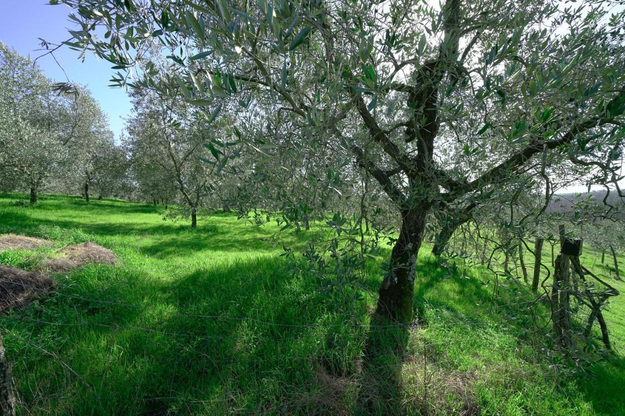 Il Podere La Casina Monsummano Terme Exteriér fotografie