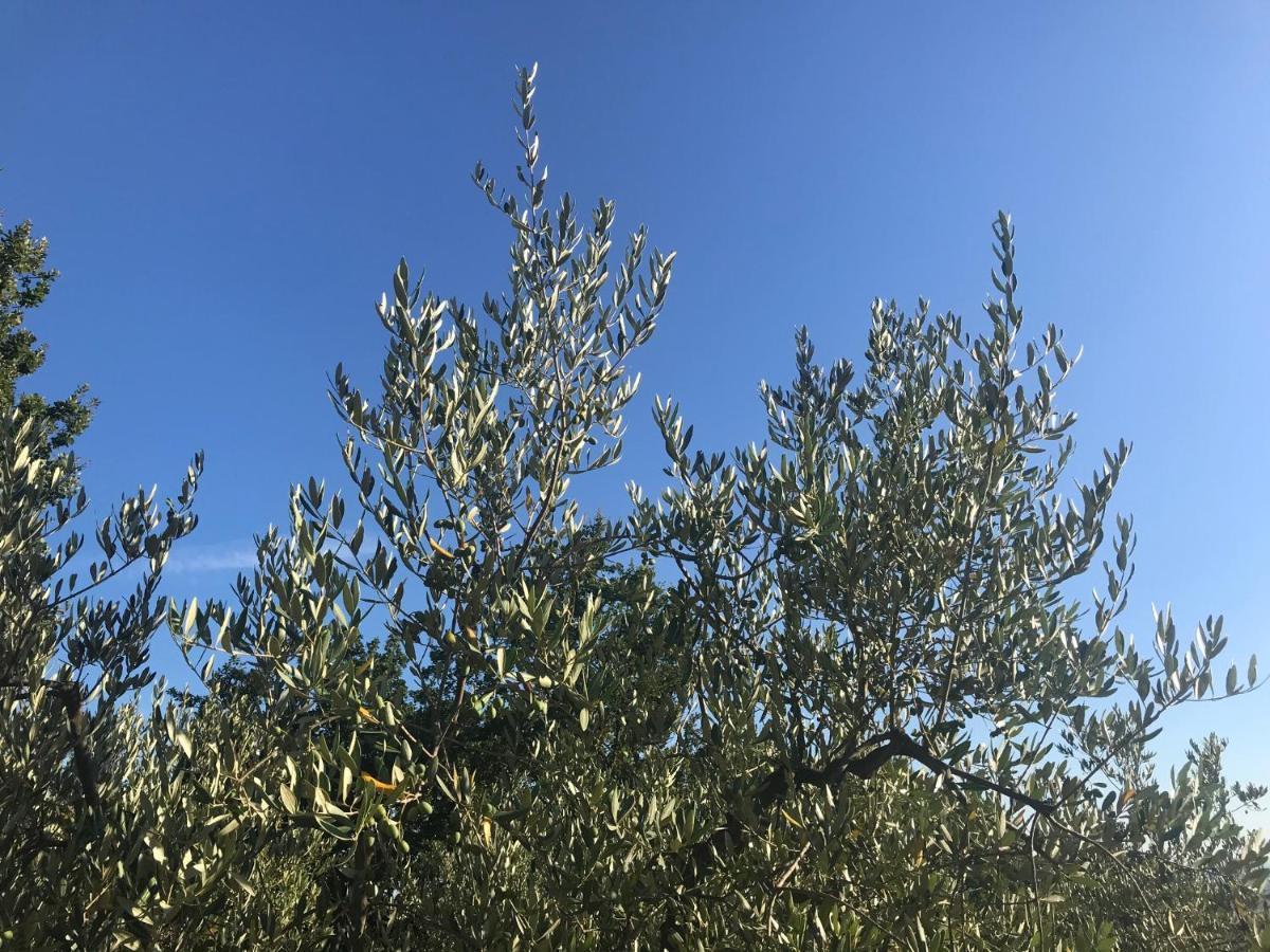 Il Podere La Casina Monsummano Terme Exteriér fotografie