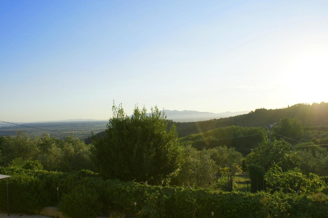 Il Podere La Casina Monsummano Terme Exteriér fotografie