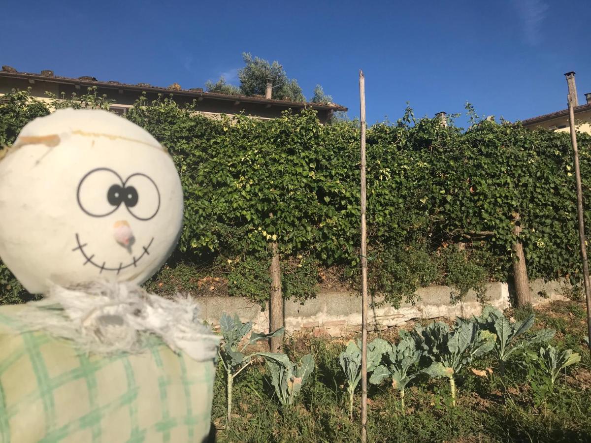 Il Podere La Casina Monsummano Terme Exteriér fotografie