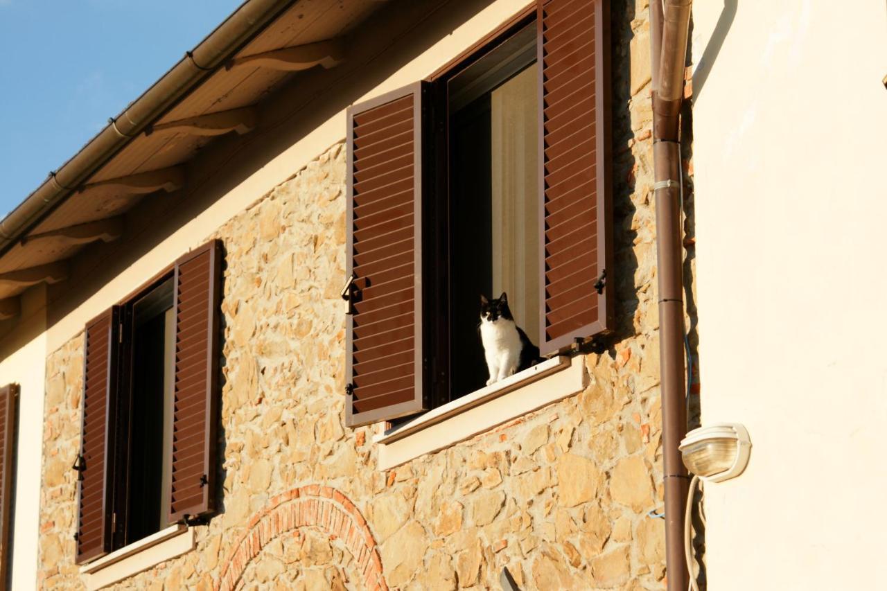 Il Podere La Casina Monsummano Terme Exteriér fotografie