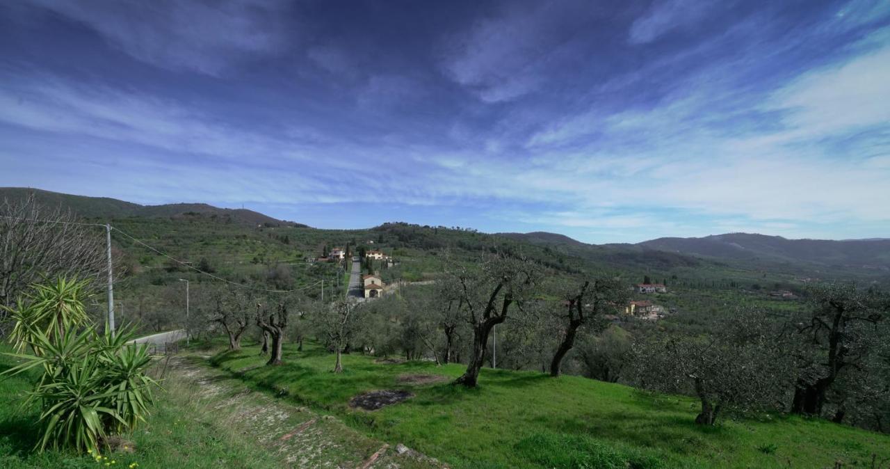 Il Podere La Casina Monsummano Terme Exteriér fotografie
