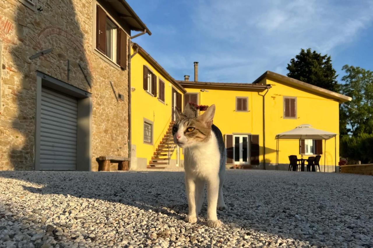 Il Podere La Casina Monsummano Terme Exteriér fotografie